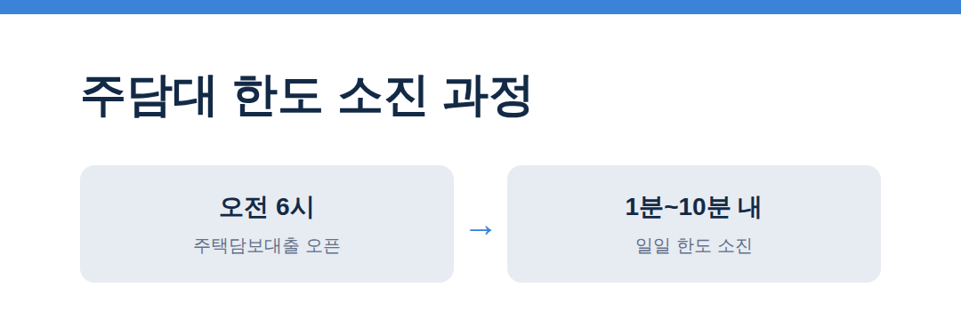 주담대 한도 소진 과정 - 대출 오픈런