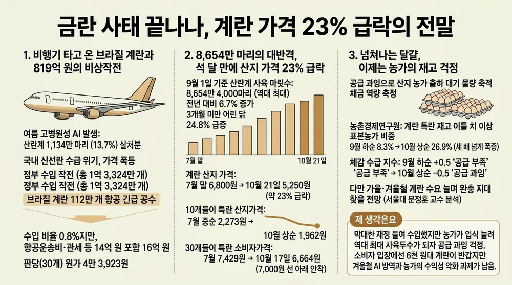 infographic egg price drops as layers hit record high 3ac09451 thumb