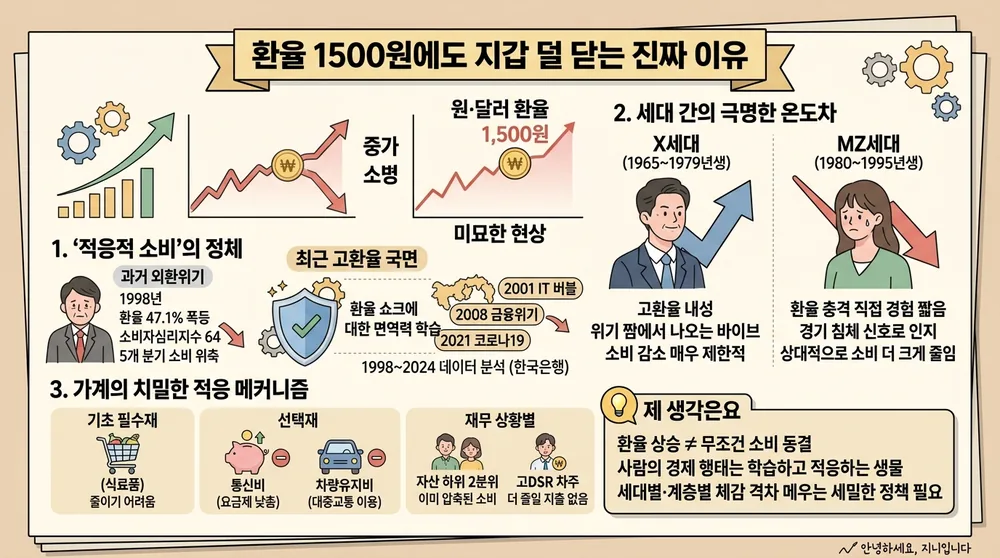 infographic exchange rate surge household consumption f27426d9 thumb
